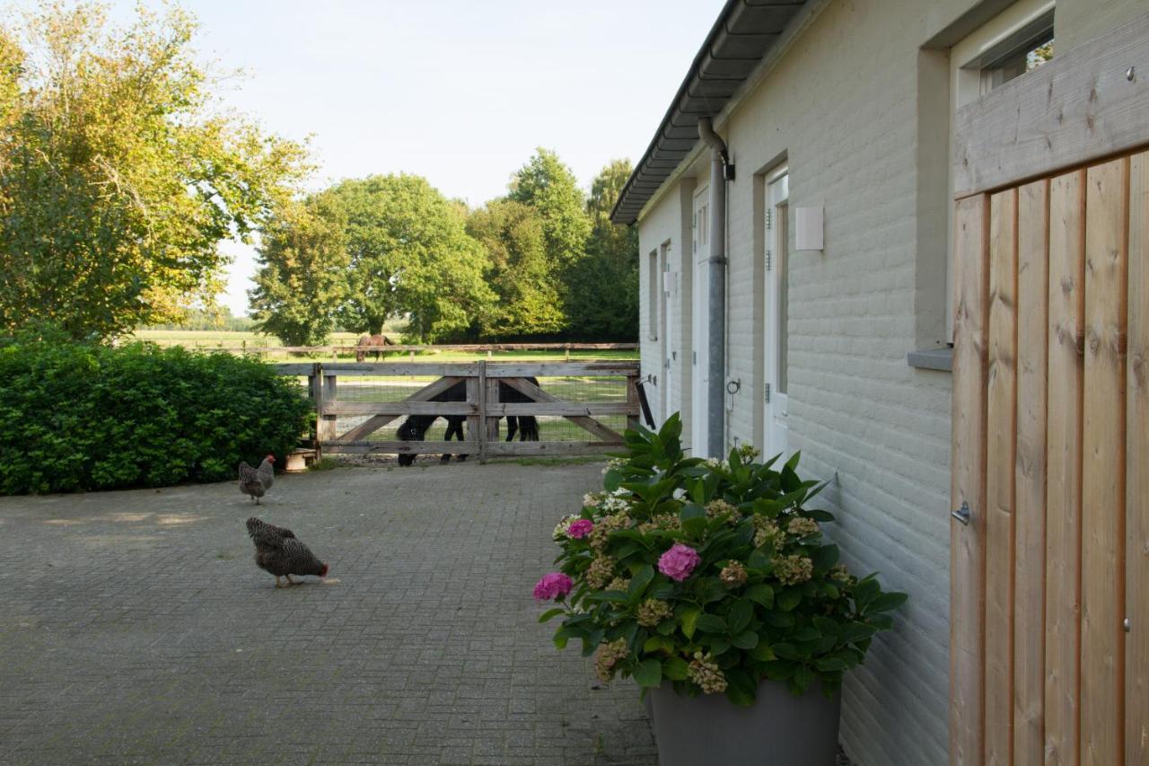 Het Rooversnest Riel Exterior photo